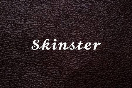 SKINSTER