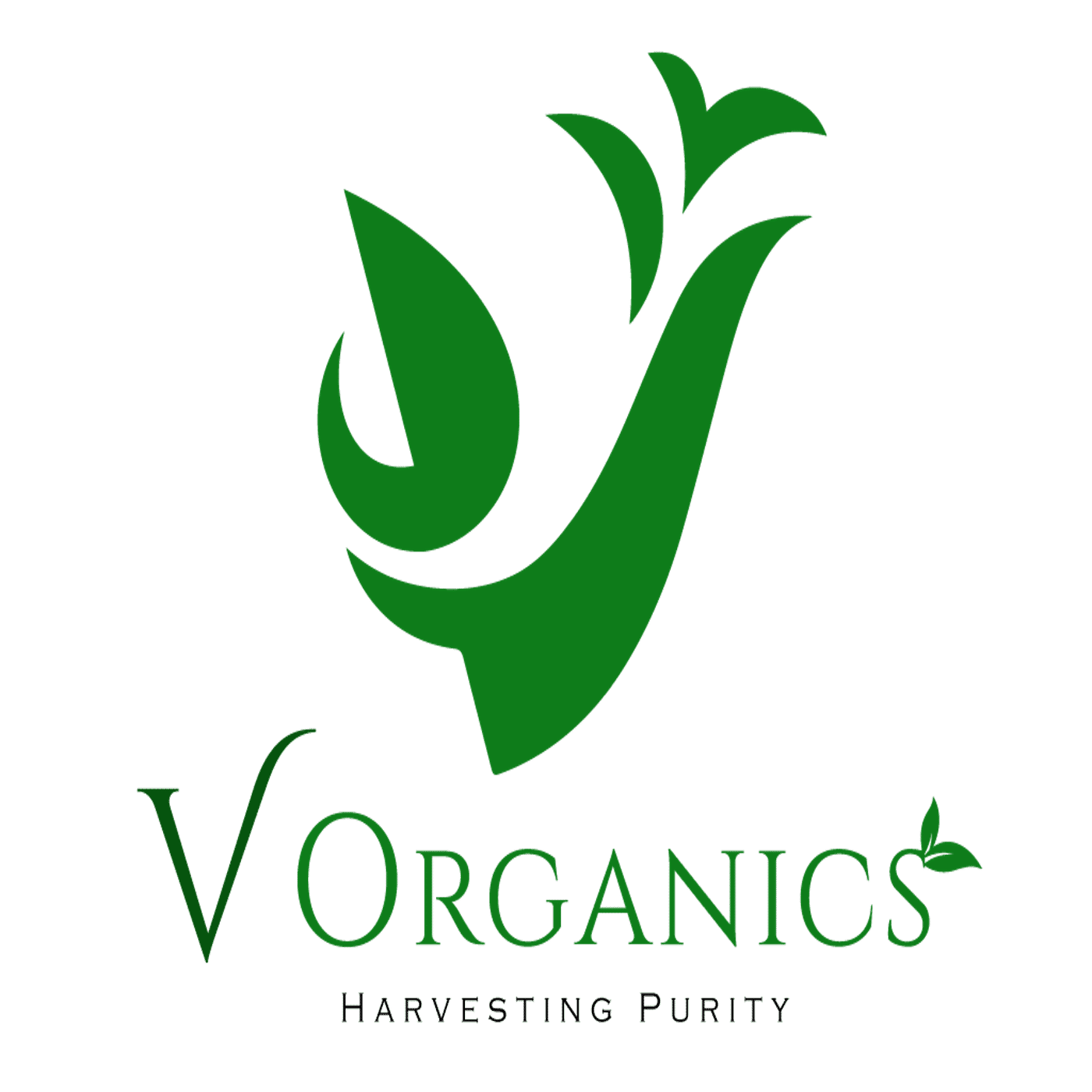 V ORGANICS PRODUCTS LLP