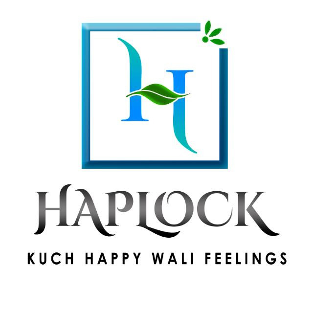 Haplock Global Impex Pvt Ltd