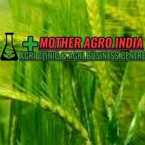 Mother Agro India