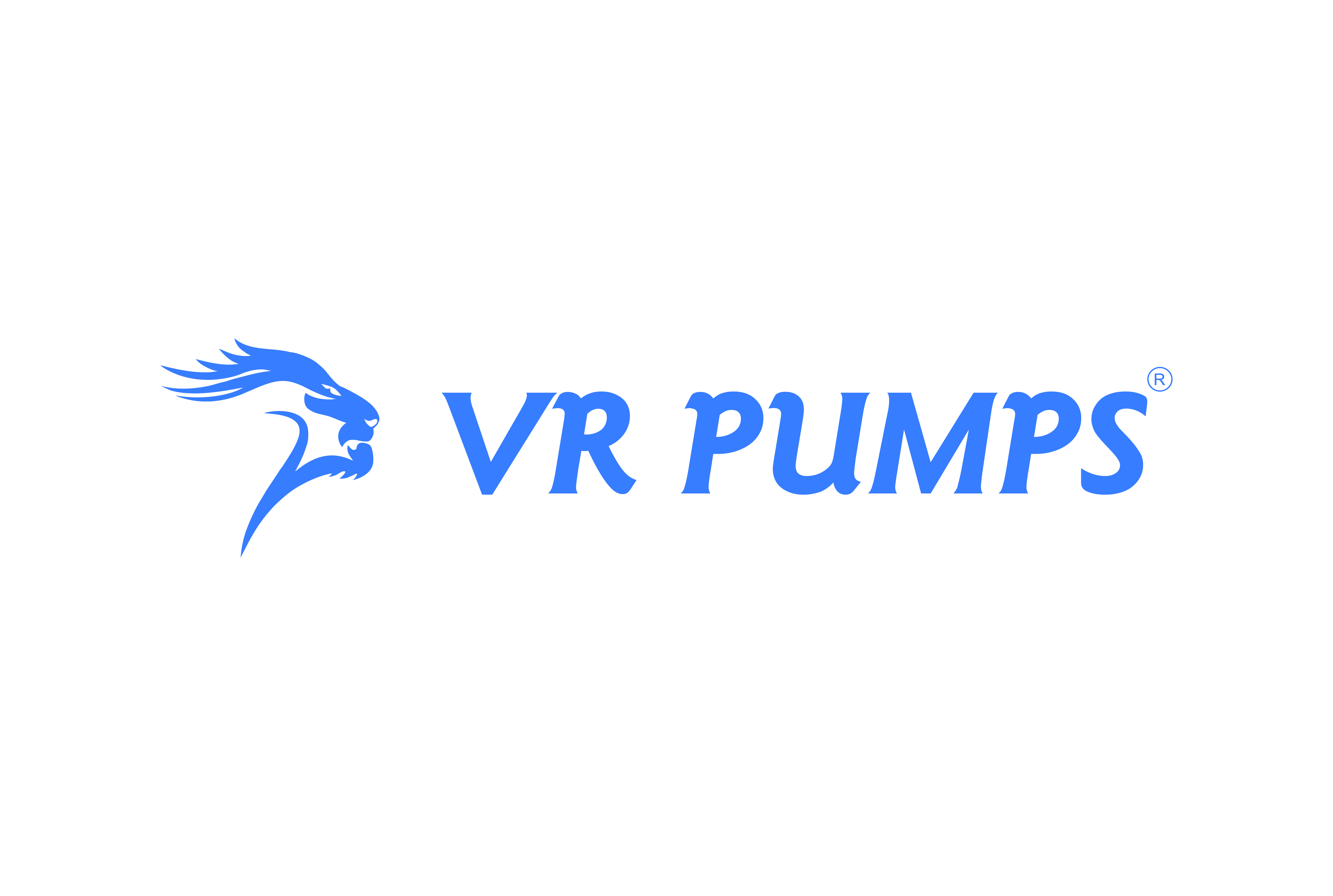 V R PUMPS