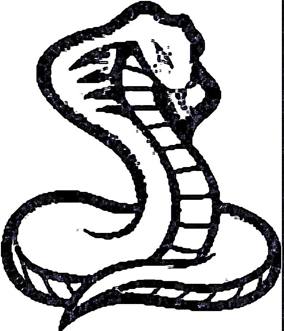 Naga Traders