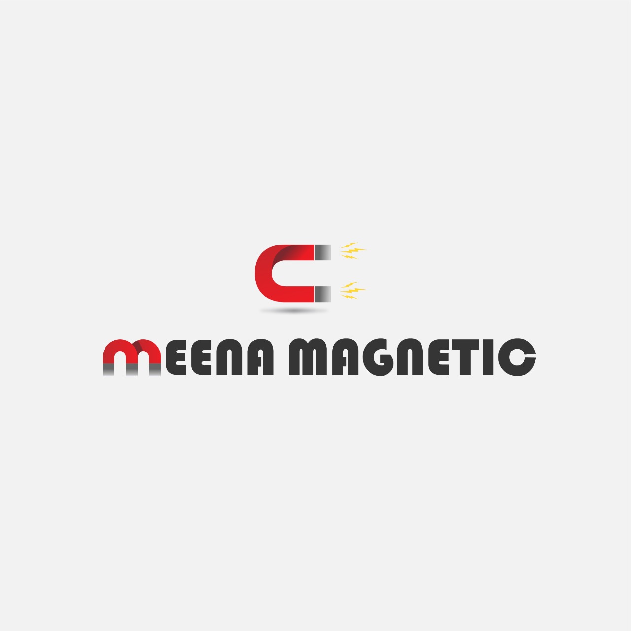 Meena Magnetic Private Limited
