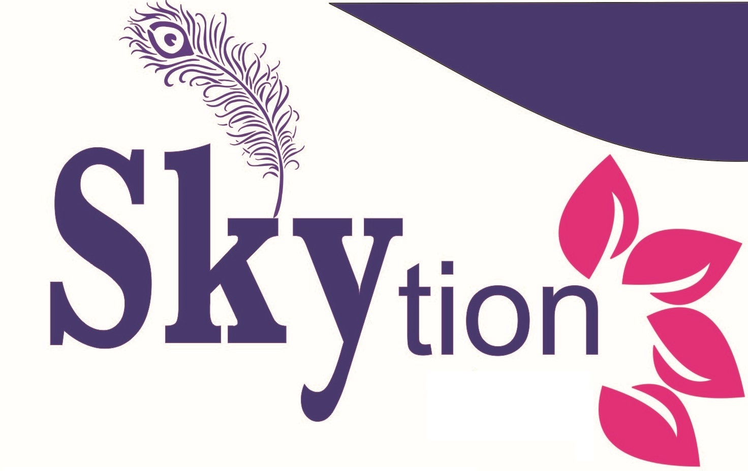 SKYTION ENTERPRISES
