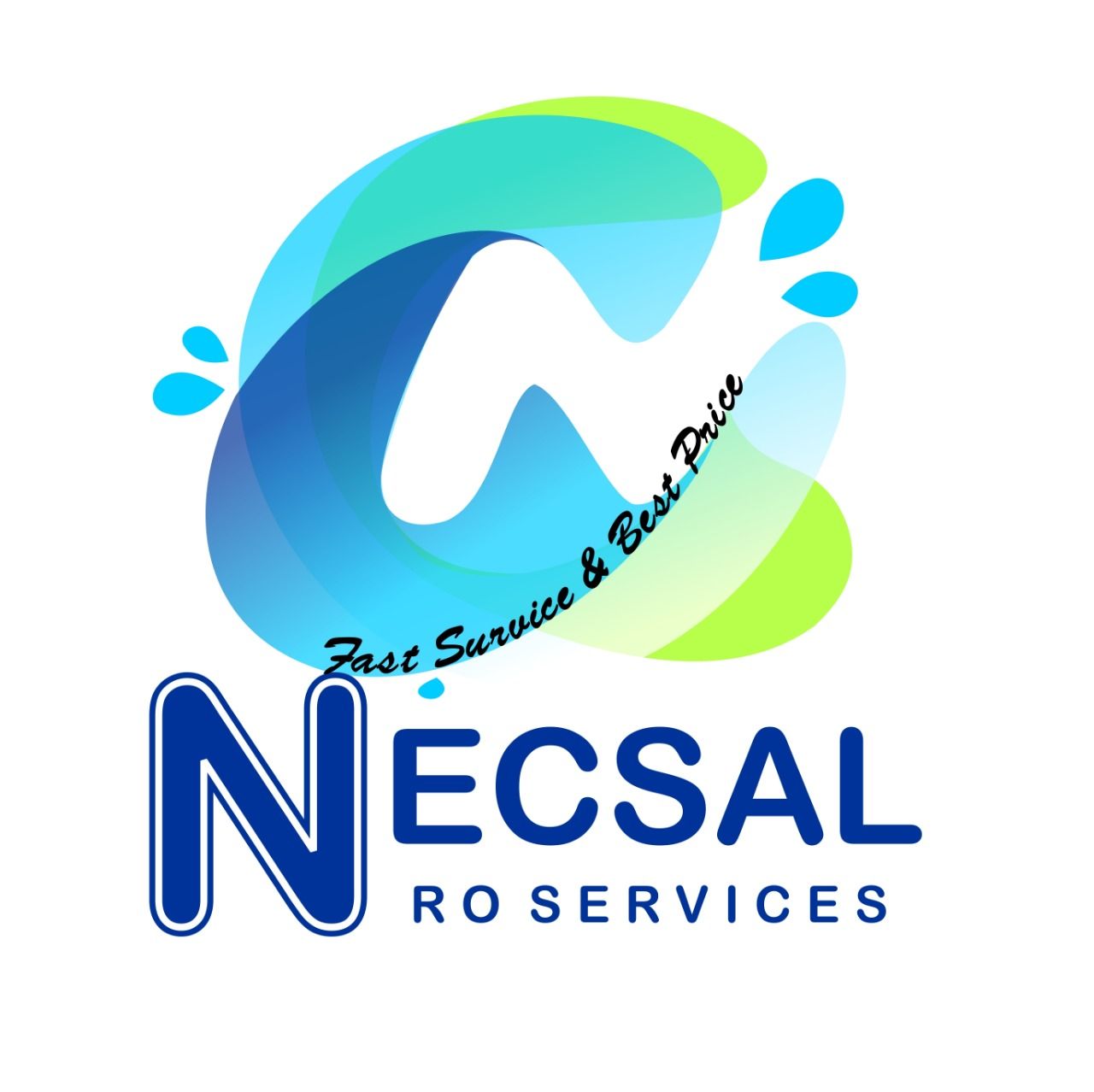 NECSAL COMMERCIALS PRIVATE LIMITED