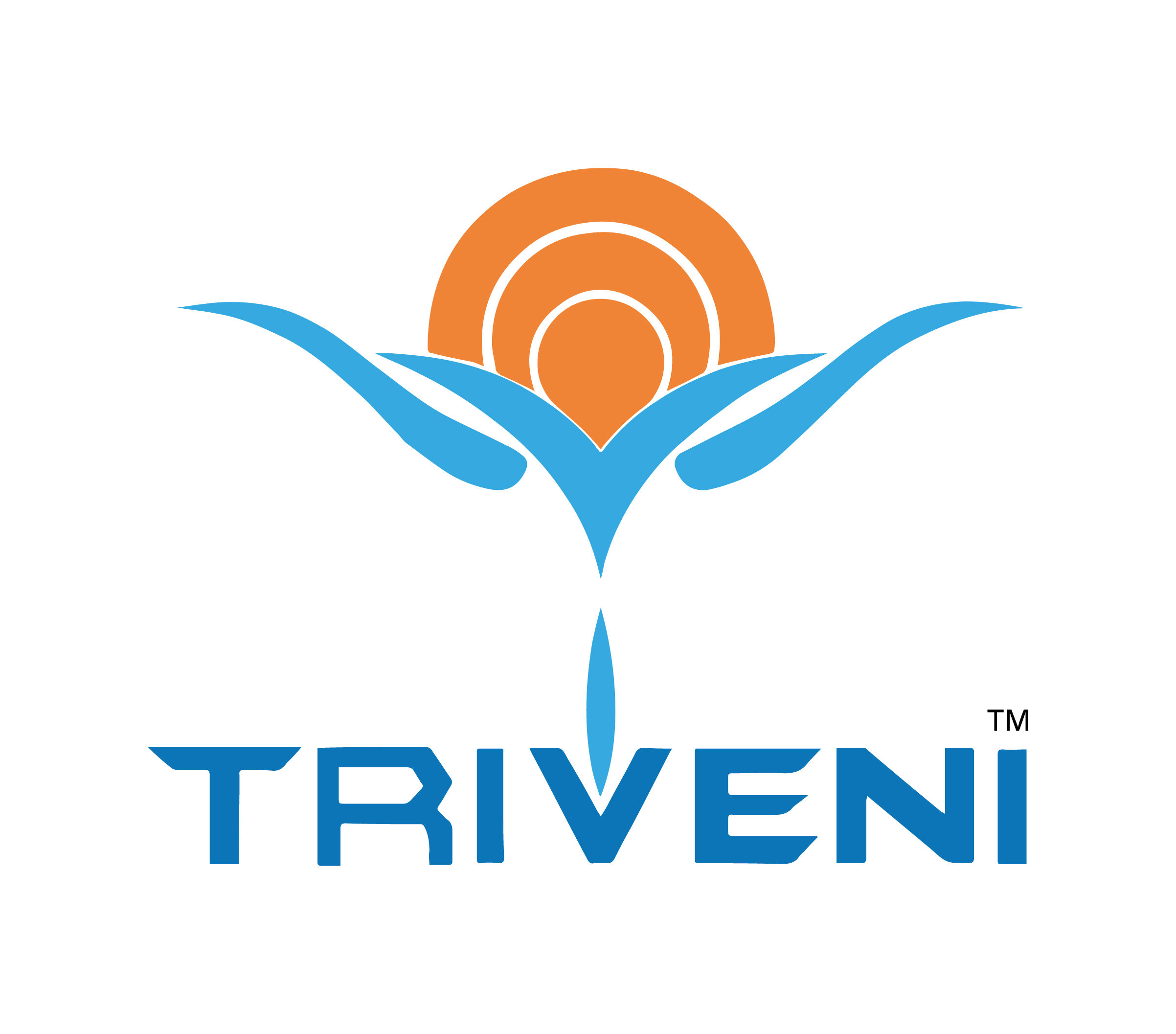 Triveni Rasayan Limited