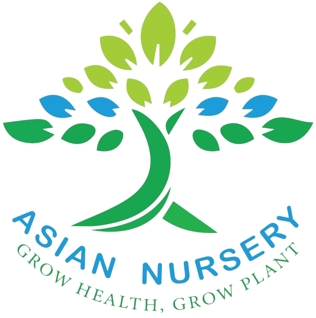 Asian Nursery