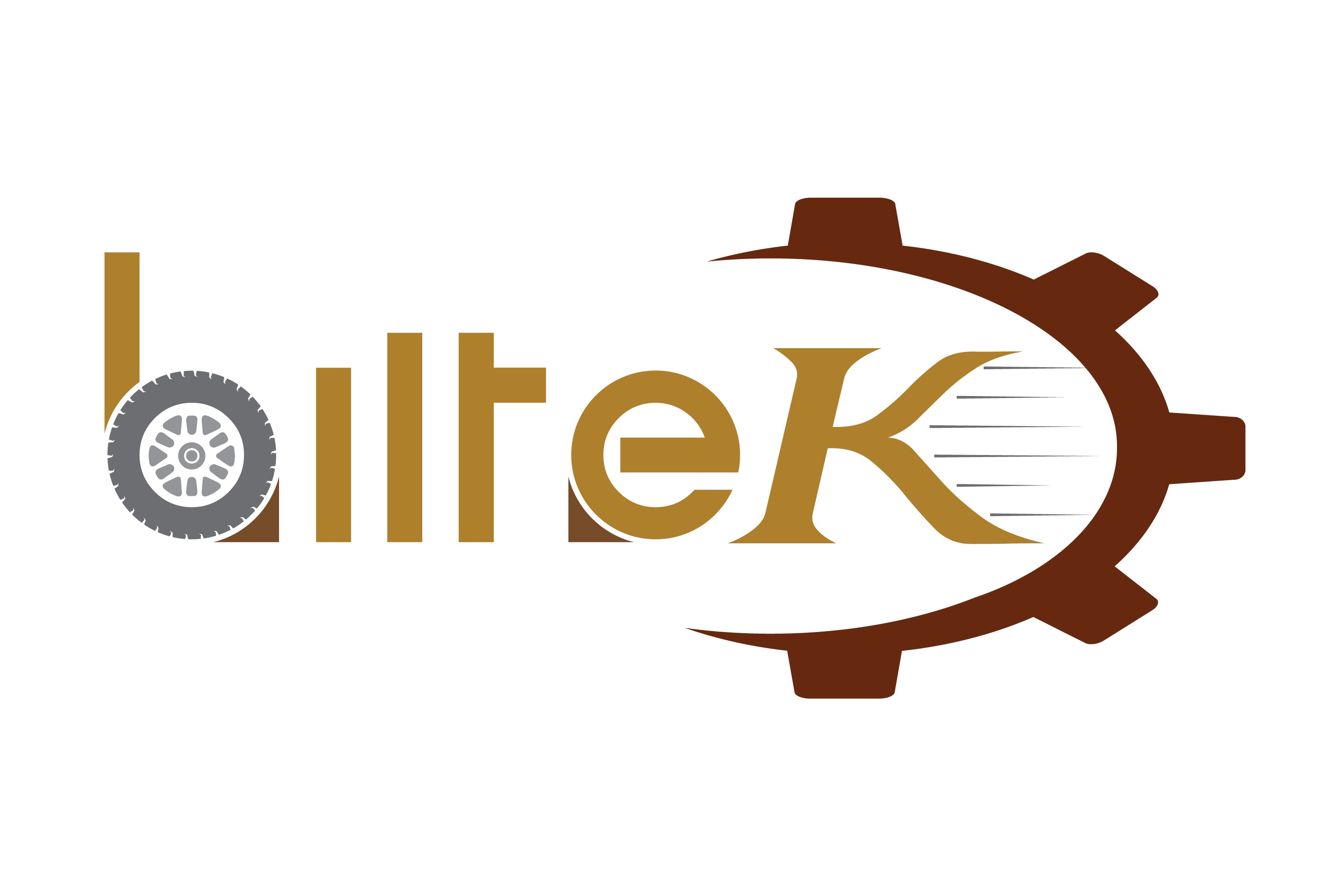 BILTEK INDIA