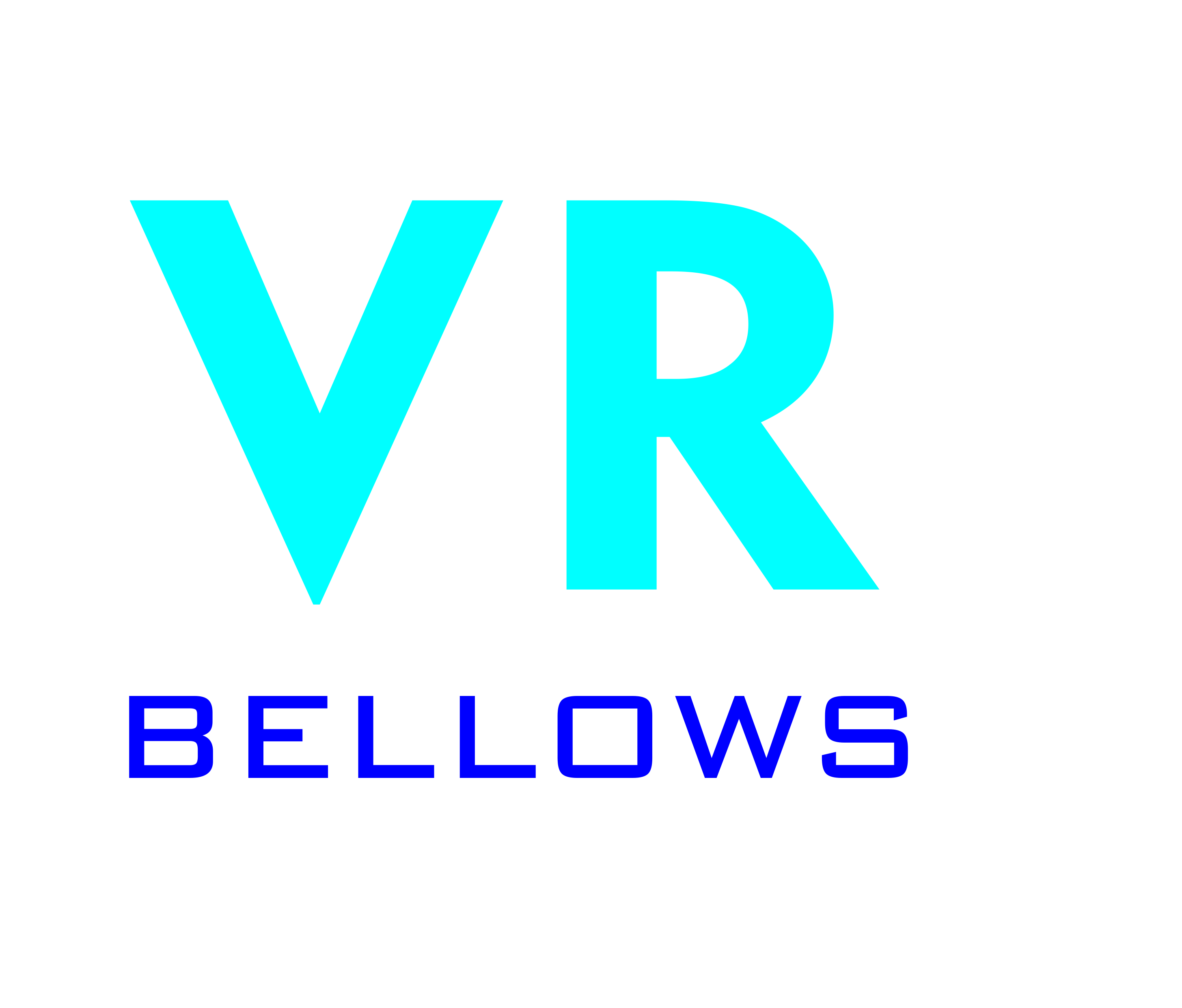 V R BELLOWS