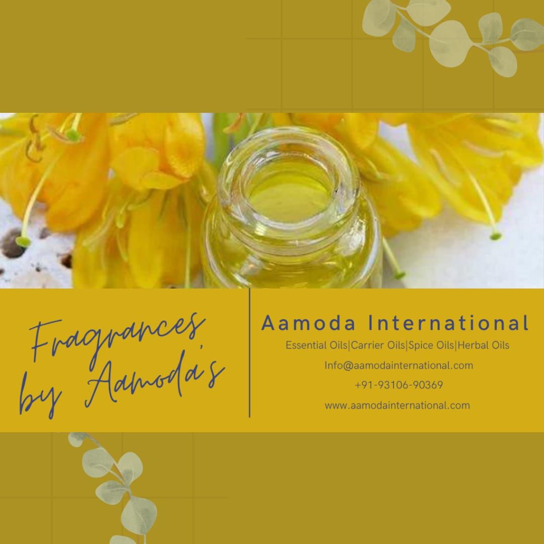 Aamoda International