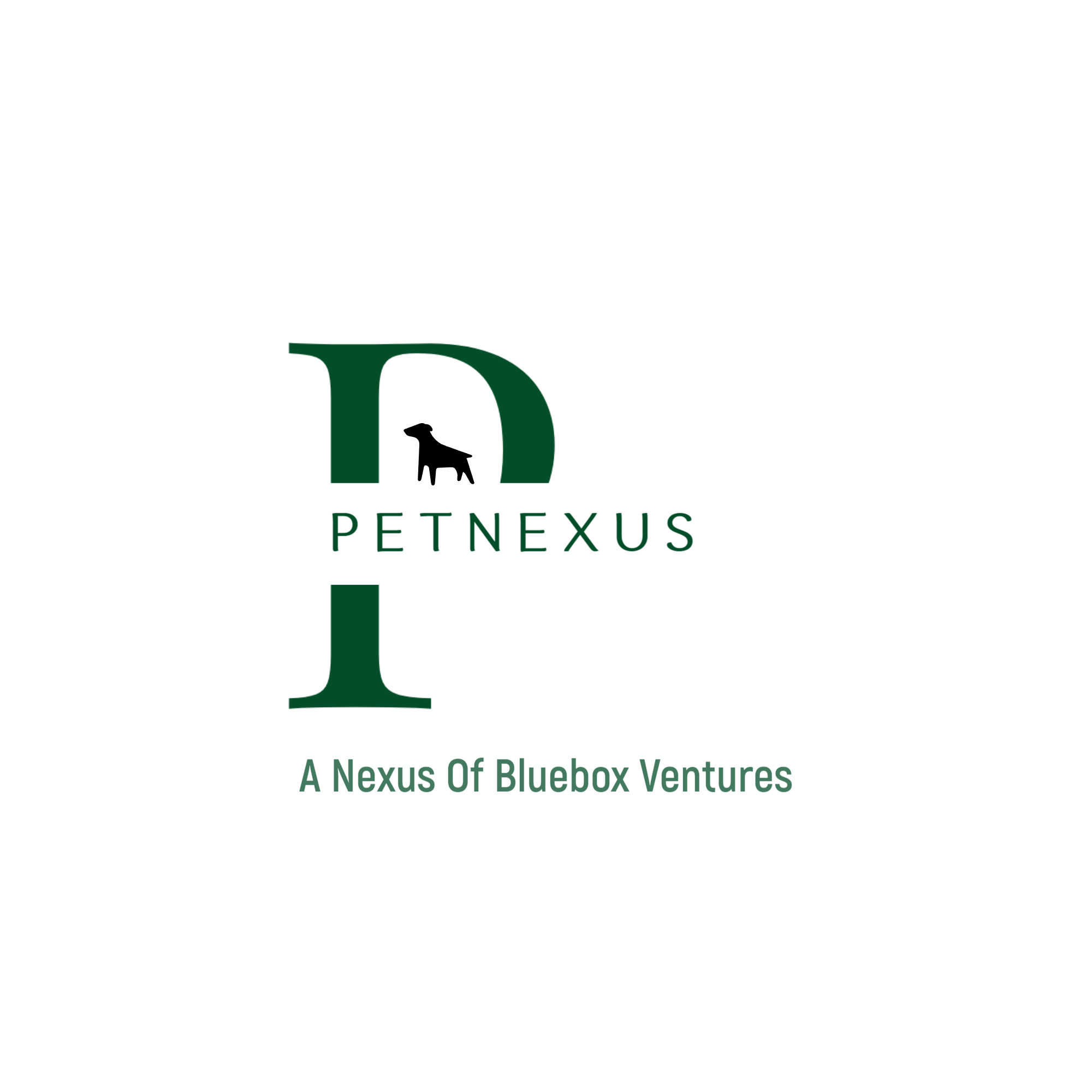 Bluebox Ventures