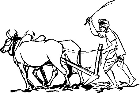 Krishak Bandhu Agro Science