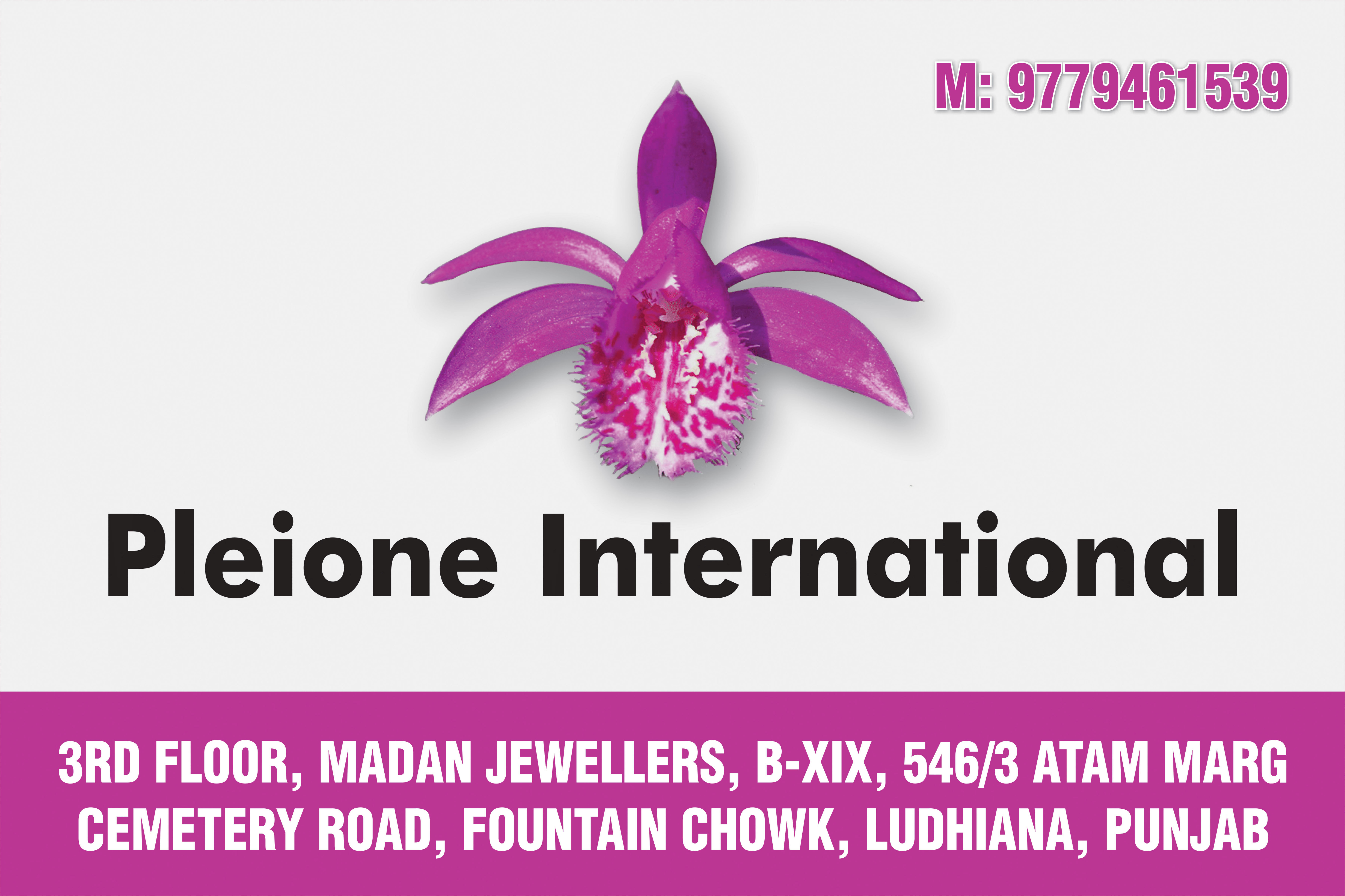 Pleione International