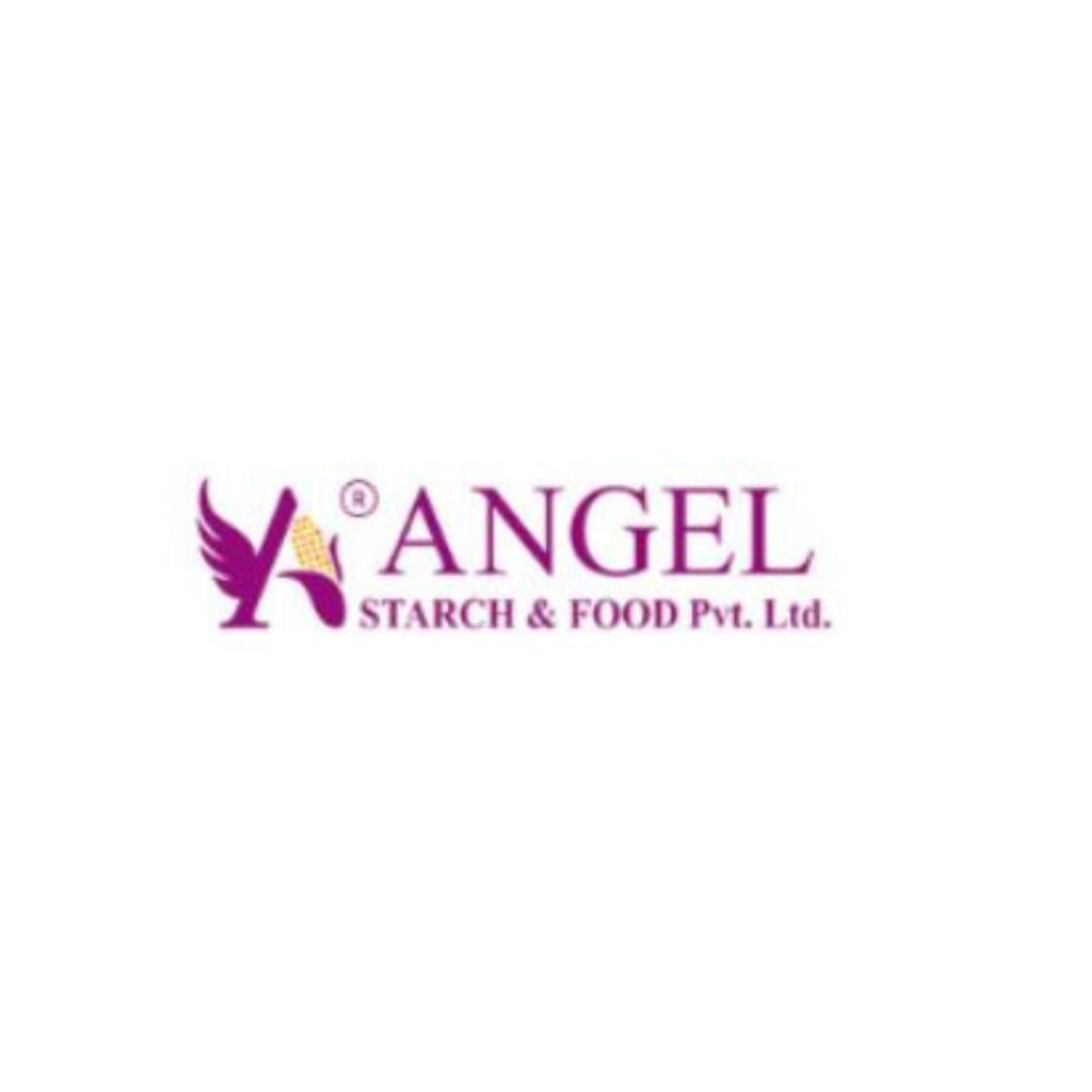 ANGEL STARCH & FOOD PVT LTD