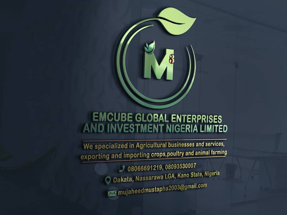 Emcube Global Enterprise and Investment Nig Limited