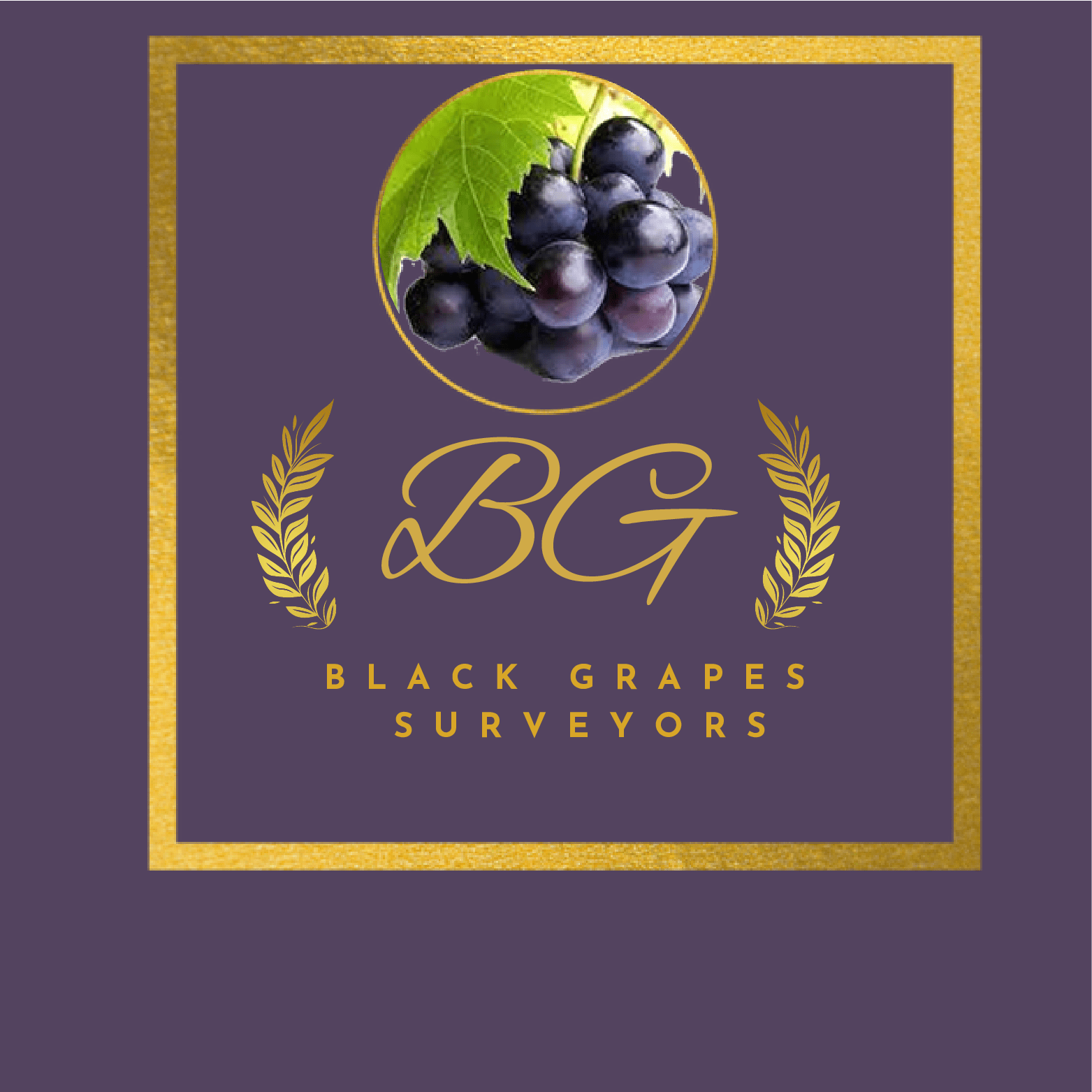 Black Grapes Insurance Surveyors And Loss Assessors Pvt.Ltd.