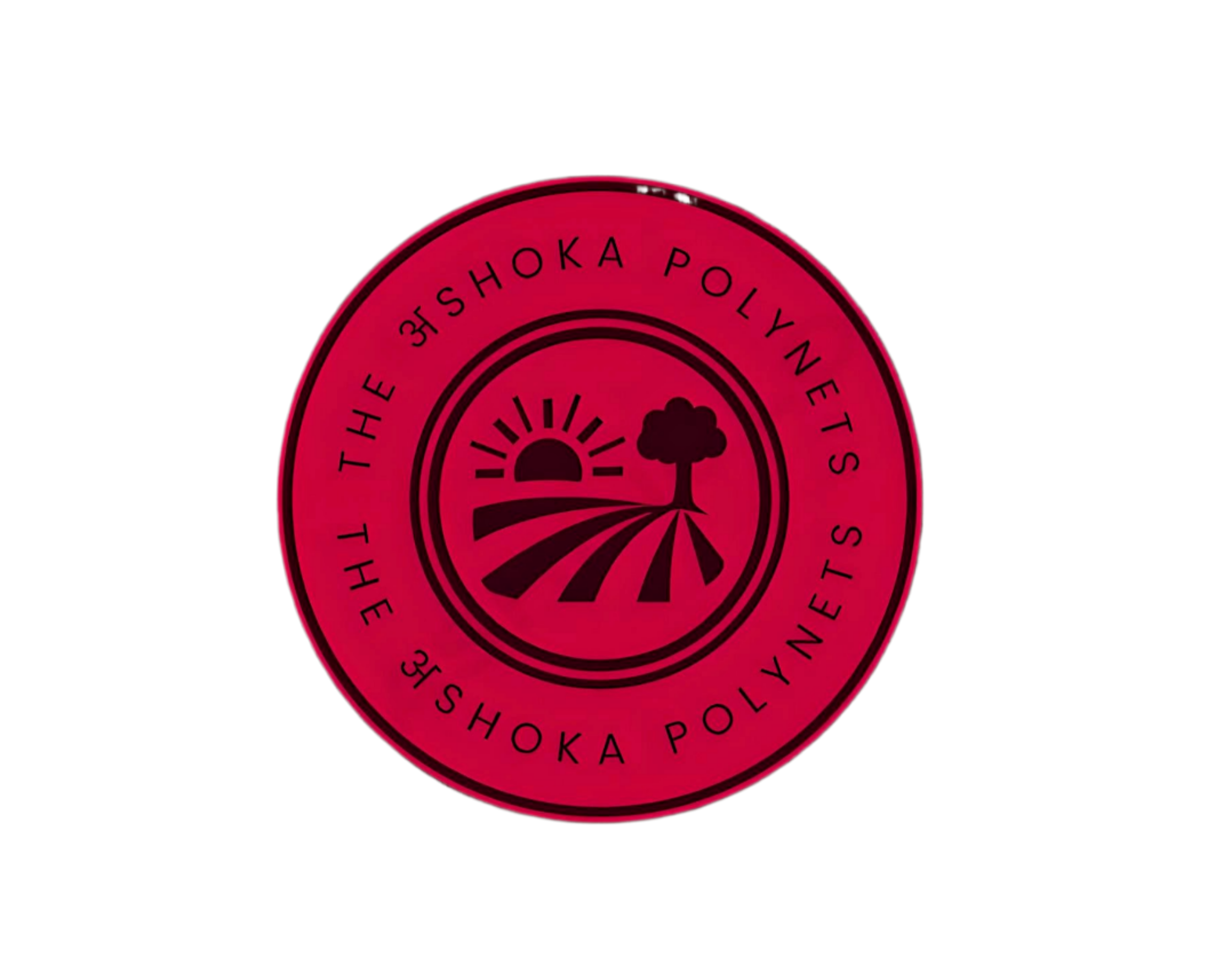 the ashoka polynets