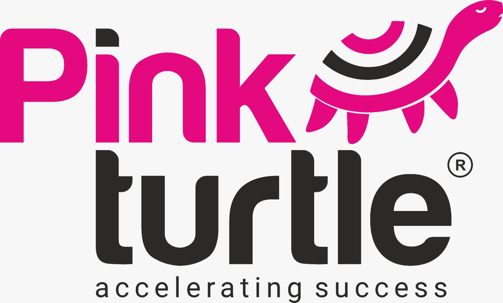 Pink Turtle