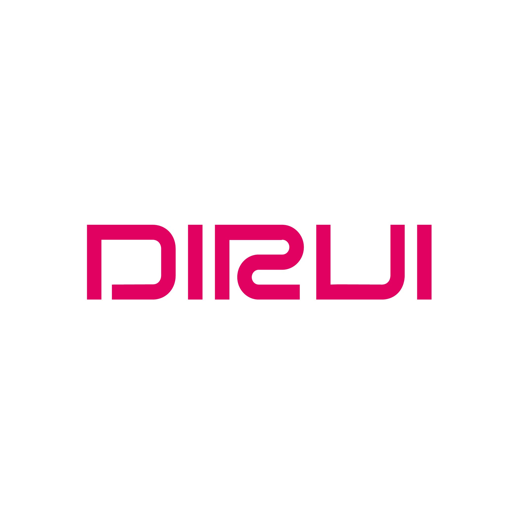 Dirui Inudstrial Co., Ltd.