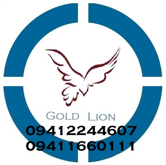 GOLD LION INDUSTRIES