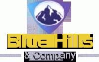 Blue Hills Company