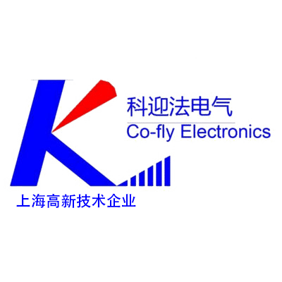 Shanghai Co-Fly Technology Co.