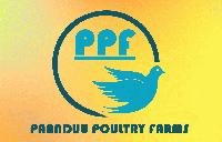 PANNDDU POULTRY FARMS AND HATCHERIES