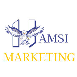 Hamsi Marketing Private Limited