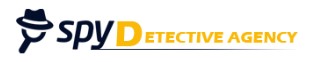 Spy Detective Agency