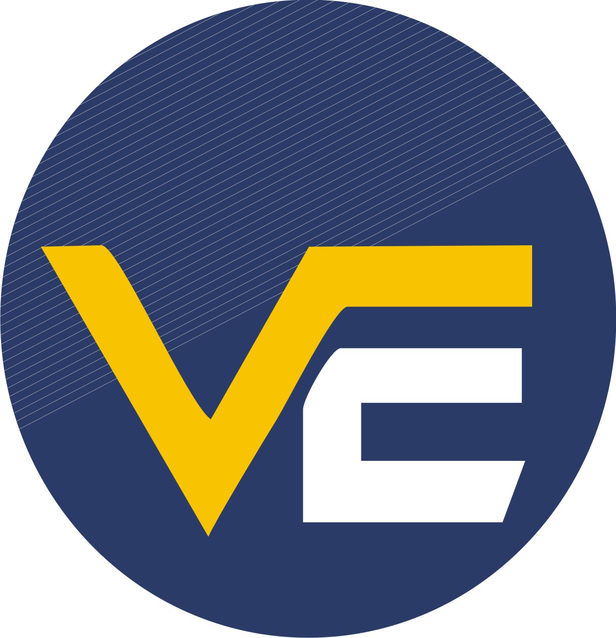 VIRAJ ENTERPRISES