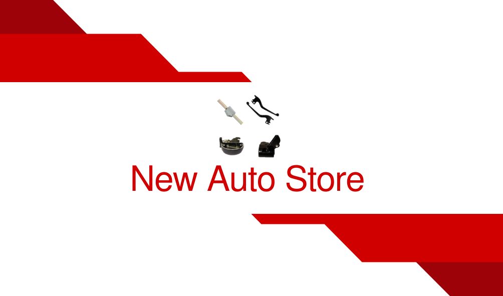 New Auto Store