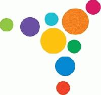 RENAISSANCE INDUS INFRA PVT. LTD.