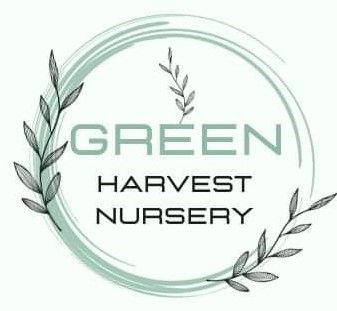 Green Harvest Nursery