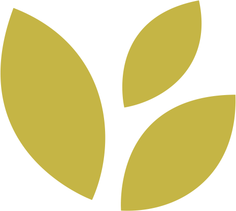 Voyage Agri Solutions Private Limited