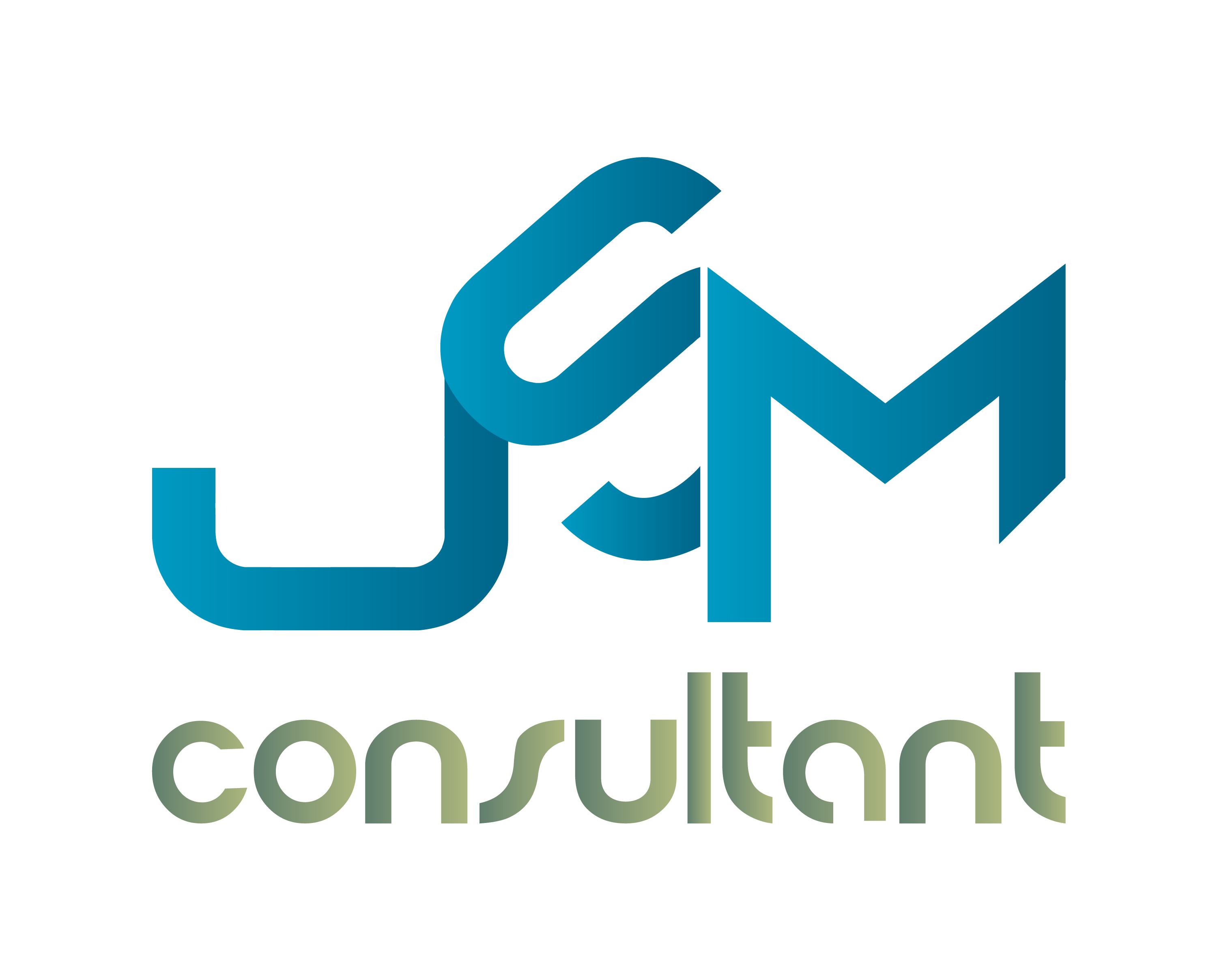 Jsm Consultant