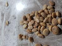 Shyam Traders