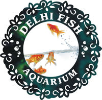 Delhi Fish Aquarium