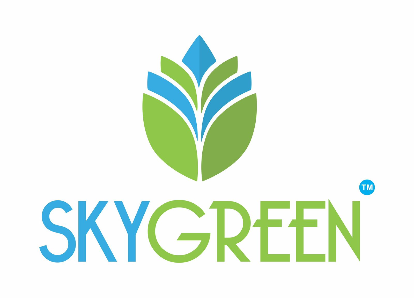 SKYGREEN VENTURES LLP