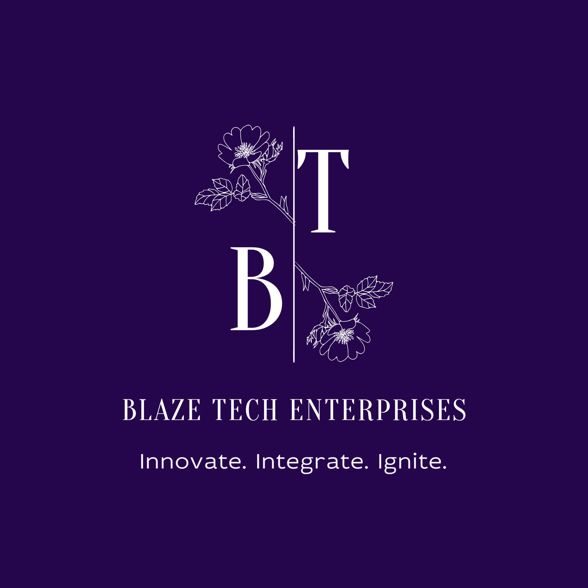 Blaze Tech Enterprises