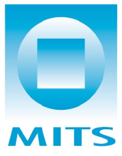 MITS MEDICAL SYSTEM