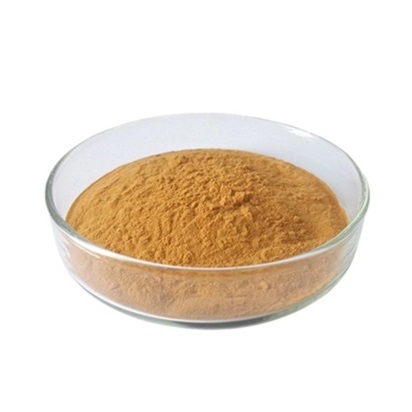 GUANGZHOU LUNCEG TRADING CO., LTD.
