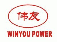 Chongqing Winyou Power Co.Ltd.