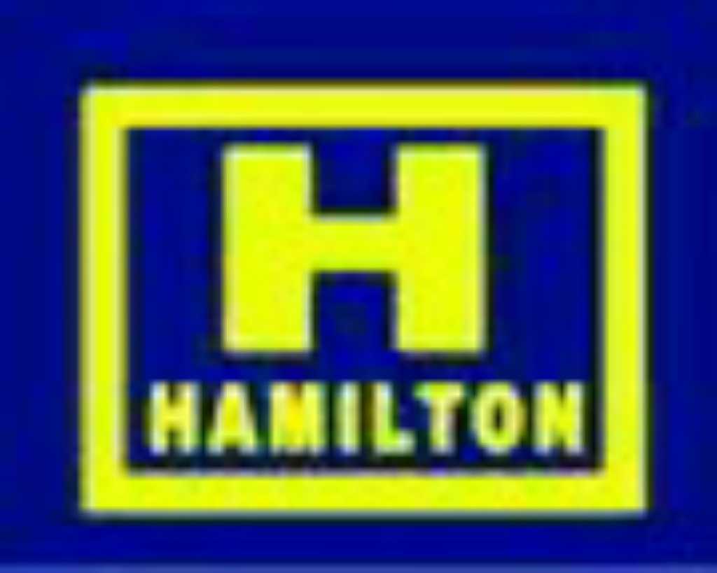 HAMILTON V BELT INDIA COMPANY