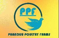 Pannduu Poultry Farms