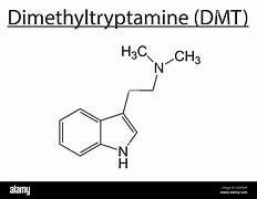 Dmtforsale.Online