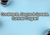 The Condiments, Sauces & Spreads, Summer Program 2022