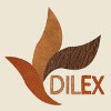 DILEX Delhi International Leather Expo 2023