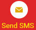 Send SMS