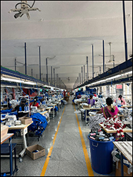 Click to Zoom Click to Zoom