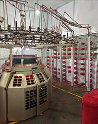 Click to Zoom Click to Zoom